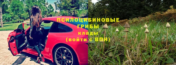 спиды Богданович