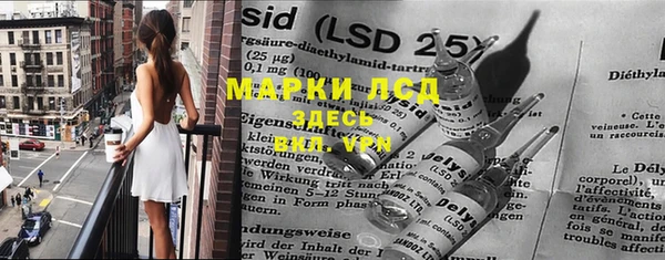 спиды Богданович