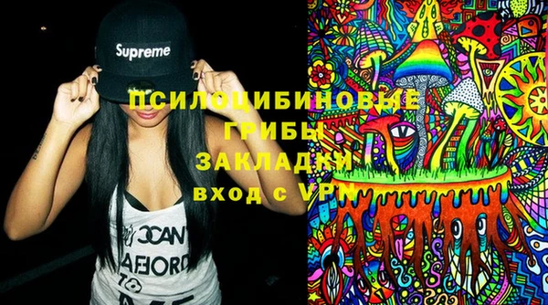 спиды Богданович