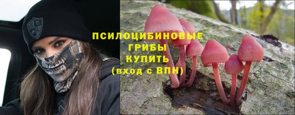 прущие крисы Бугульма