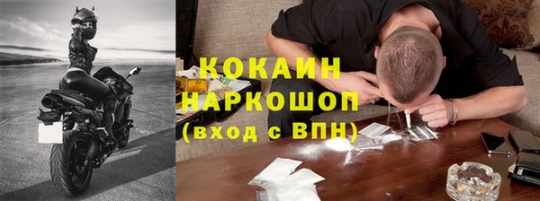спиды Богданович